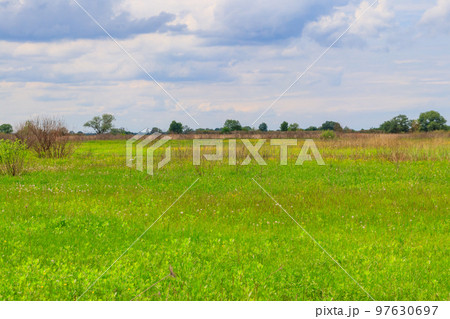 Spring landscape with green meadow, sky and trees Spring landscape with green meadow, sky and trees 97630697