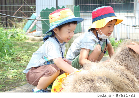 動物園で遊ぶ兄弟 動物園で遊ぶ兄弟 97631733