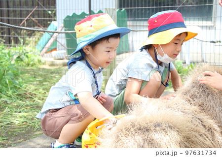 動物園で遊ぶ兄弟 動物園で遊ぶ兄弟 97631734
