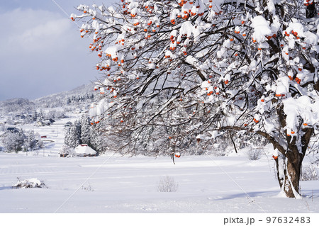 雪国の風景 97632483