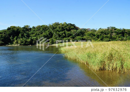 三浦半島の風景　江奈湾の干潟 97632976