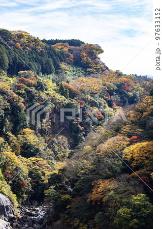 南阿蘇の紅葉した山肌 97633152