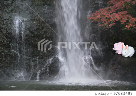 兎と紅葉と箕面の滝 97633495