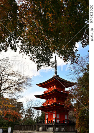 清水寺の紅葉 97633920