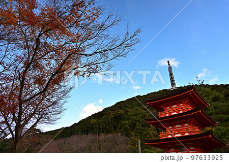 清水寺の紅葉 97633925