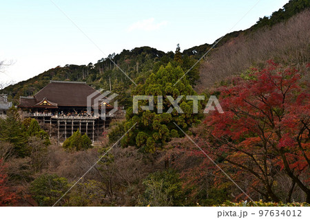 清水寺の紅葉 清水寺の紅葉 97634012