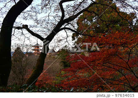 清水寺の紅葉 97634015