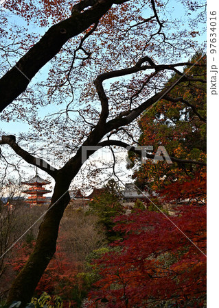 清水寺の紅葉 97634016