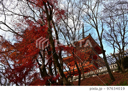 清水寺の紅葉 97634019