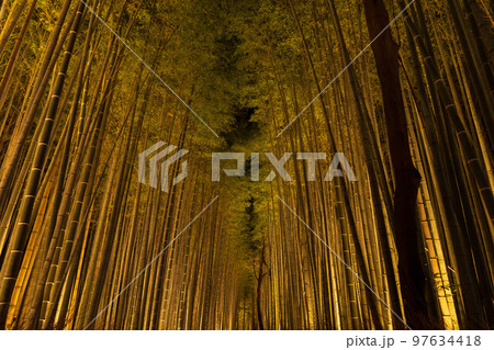 冬の京都　嵐山花灯路　竹林の小径 97634418