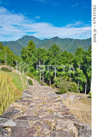 【果無集落 熊野参詣道小辺路】 奈良県吉野郡十津川村桑畑 97635362