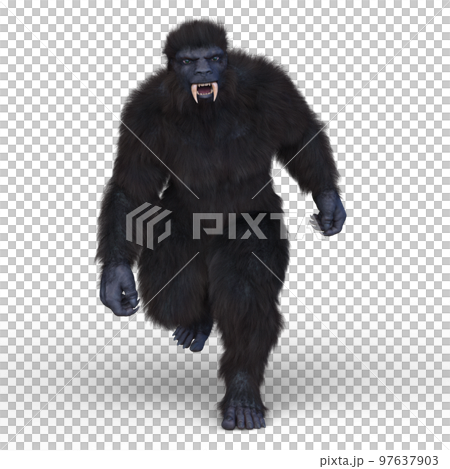 怪物大猩猩 97637903