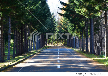 樹林道 97638306