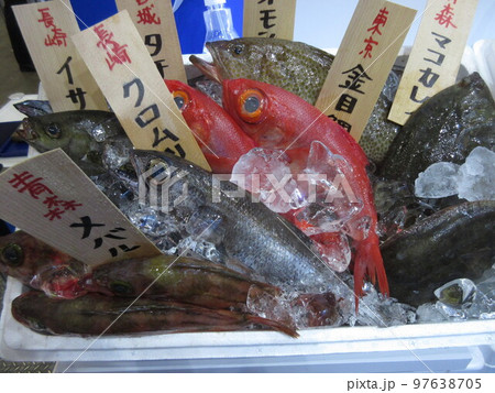 地域で水揚げされた新鮮な魚たち　  97638705