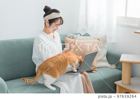 家で猫と一緒にテレワーク・リモートワークする女性(パソコン・スマホ) 家で猫と一緒にテレワーク・リモートワークする女性(パソコン・スマホ) 97639264