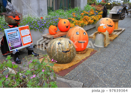 ハロウィン飾り　Halloween 97639364