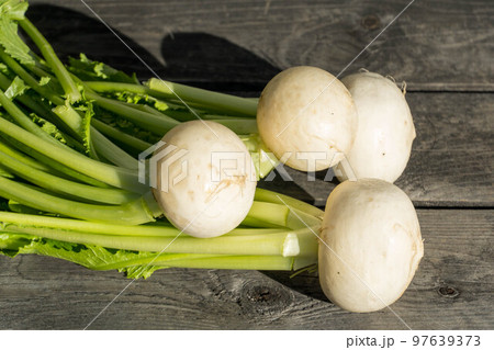 冬野菜　白かぶ 97639373