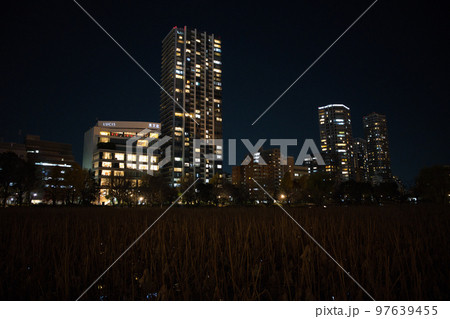 東京の夜 東京の夜 97639455