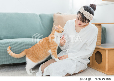 家・猫カフェで猫におやつをあげる日本人女性（餌） 97639460