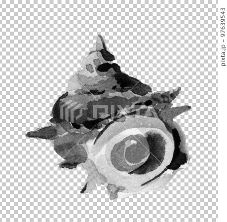 水墨画風に描かれたサザエ1個のモノトーンイラスト 白バック 透過背景 水墨画風に描かれたサザエ1個のモノトーンイラスト 白バック 透過背景 97639543