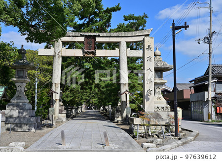 長浜八幡宮 参道 長浜八幡宮 参道 97639612