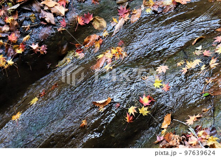 朝夷奈切通（朝比奈切通）の水の流れ 97639624