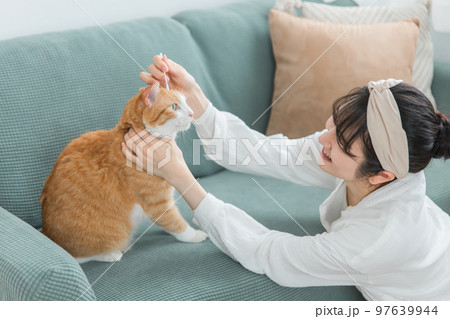 綿棒を使って猫の耳掃除をする飼い主のアジア人女性 綿棒を使って猫の耳掃除をする飼い主のアジア人女性 97639944