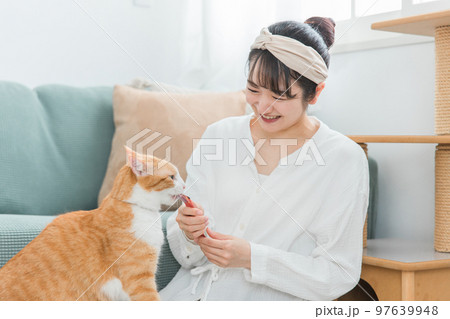 家・猫カフェで猫におやつをあげる日本人女性（餌） 97639948