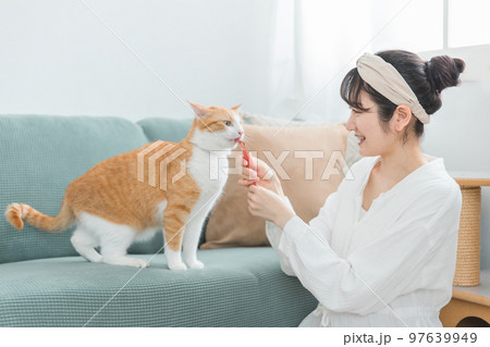 家・猫カフェで猫におやつをあげる日本人女性(餌) 家・猫カフェで猫におやつをあげる日本人女性(餌) 97639949