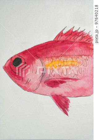 沖縄の魚たち大集合 97640218