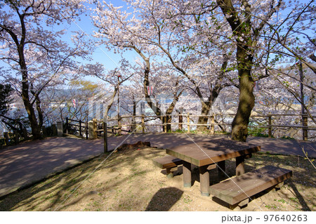 福井県敦賀市　金ヶ崎の桜 97640263