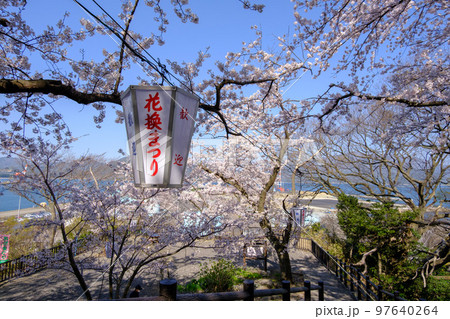 福井県敦賀市 金ヶ崎の桜 福井県敦賀市 金ヶ崎の桜 97640264