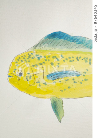 沖縄の魚たち大集合 97640345