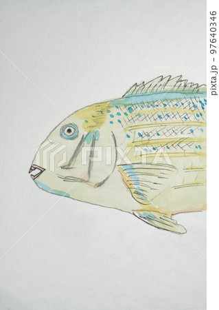 沖縄の魚たち大集合 97640346