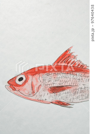 沖縄の魚たち大集合 沖縄の魚たち大集合 97640438