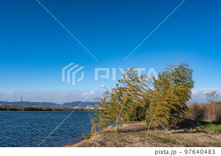 冬の淀川川岸風景 97640483