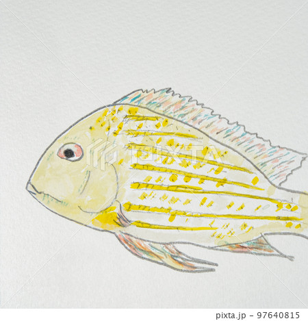 日本の魚世界の魚大集合（淡水魚） 97640815