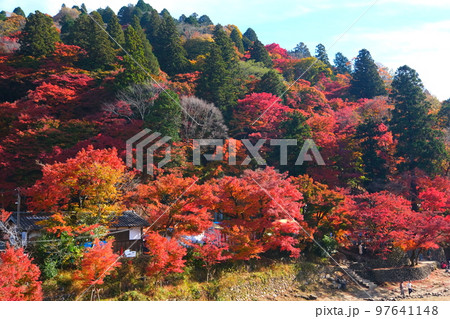 香嵐渓の紅葉 香嵐渓の紅葉 97641148