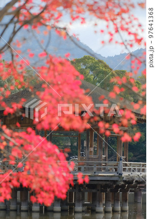 紅葉と浮御堂 97641368