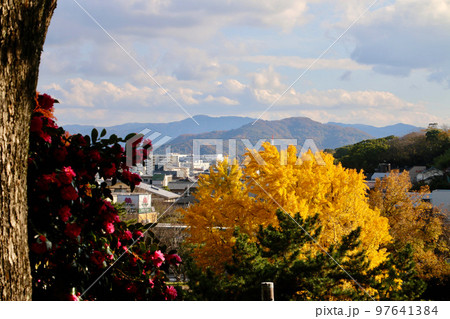 和歌山城からの眺望(和歌山県・和歌山市) 和歌山城からの眺望(和歌山県・和歌山市) 97641384