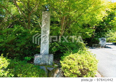 【近畿三十六不動霊場】第十七番　曼殊院門跡の寺標と参道　京都府京都市左京区 97641442