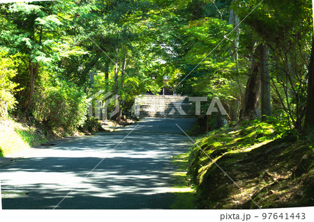 【近畿三十六不動霊場】第十七番　曼殊院門跡の参道と勅使門　京都府京都市左京区 97641443