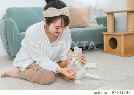 お薬を飲ませようとする飼い主と猫（投薬・病気） 97641540