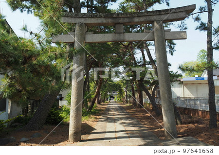 玉敷神社の参道の鳥居【埼玉県加須市】 97641658