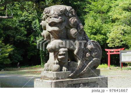 玉敷神社の狛犬【埼玉県加須市】 97641667