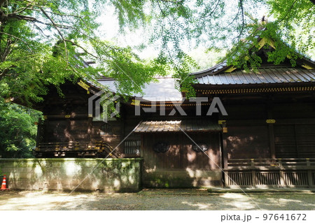 玉敷神社の拝殿(右)と本殿(左)【埼玉県加須市】 97641672