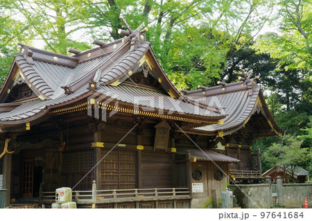 玉敷神社の拝殿(左)と本殿(右)【埼玉県加須市】 玉敷神社の拝殿(左)と本殿(右)【埼玉県加須市】 97641684
