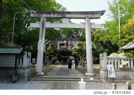 玉敷神社の境内入口の鳥居【埼玉県加須市】 97641690