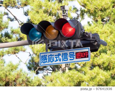 「感知中」表示機が併設されている感応式信号機。 97641936