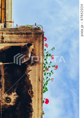 クロアチア　スプリト　バルコニーの赤い花 97642034